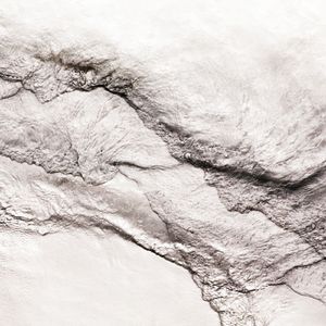 Twitter网黄体育生猛1
